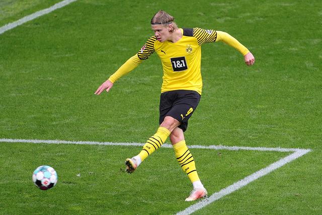 他与约基奇 他与约基奇